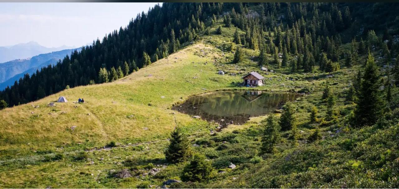 Les Amandines-Le Cosy Ideal Curistes Альвар Экстерьер фото